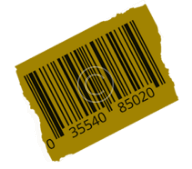 image06-copyright image06-copyright